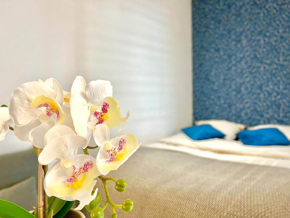 Cocon Luxe - Sauna & Balneo Au Coeur De ランス エクステリア 写真